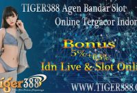 TIGER388 Agen Bandar Slot Online Tergacor Indonesia